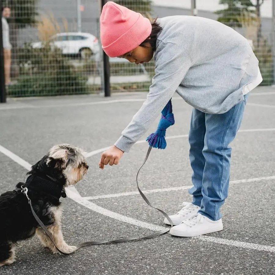 A person demonstrating how to teach a dog to sit using a simple and effective method, showcasing step-by-step instructions and positive reinforcement.