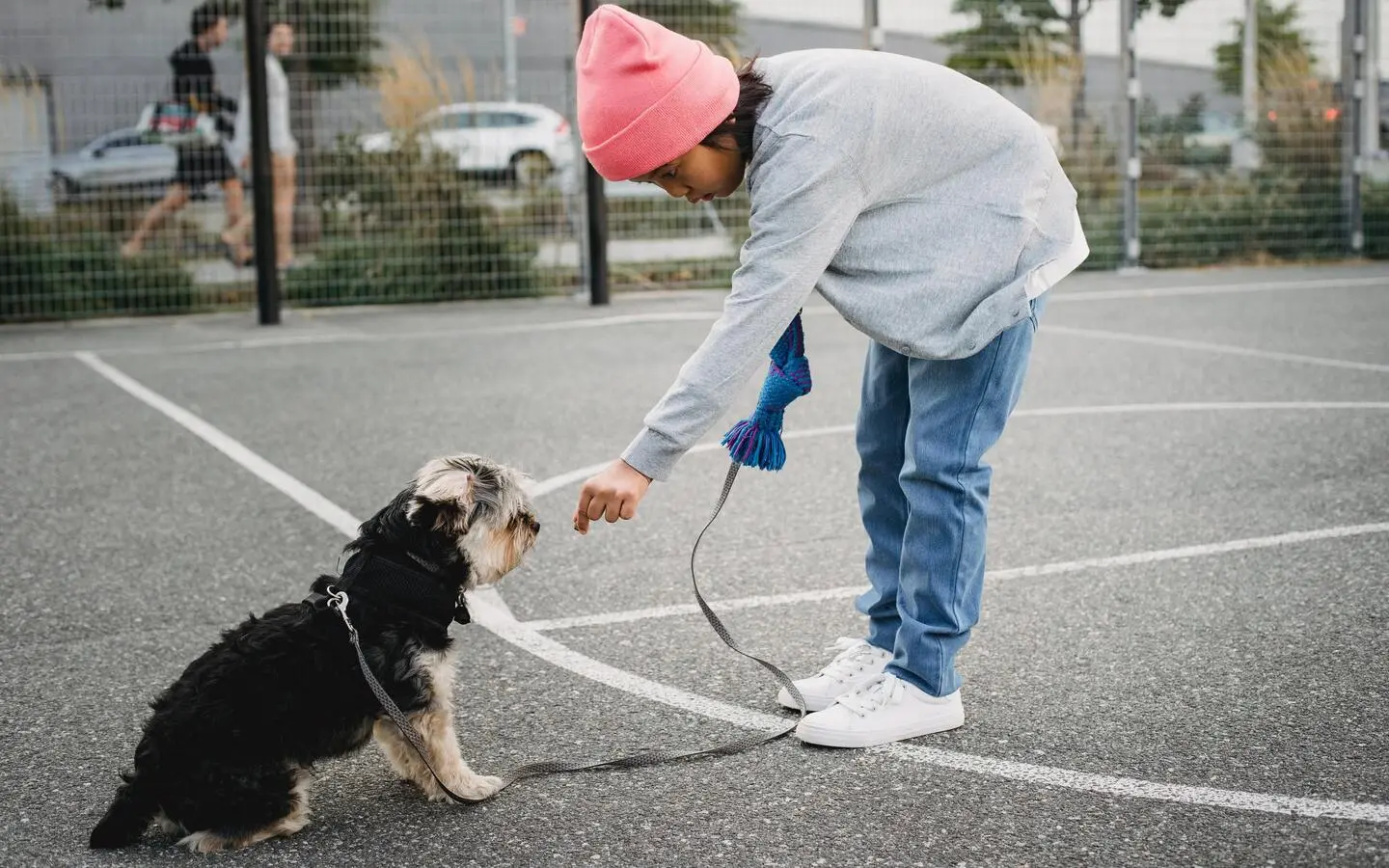 A person demonstrating how to teach a dog to sit using a simple and effective method, showcasing step-by-step instructions and positive reinforcement.